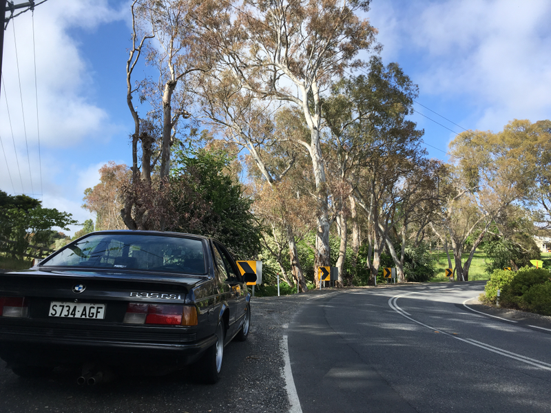 Illustration for article titled BMW 635CSi. Adelaide Hills. Springtime. Goodtime.